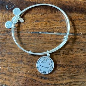 Alex and Ani Capricorn bracelet
